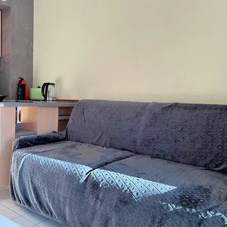 Apartment 4 Pers Avec Terrasse, Clim Et Parking Au Lavandou - Fr-1-251-431